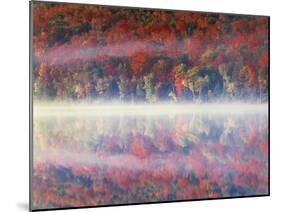 New York, Adirondack Mts, Sugar Maples and Fog at Heart Lake in Autumn-Christopher Talbot Frank-Mounted Photographic Print