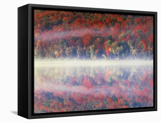 New York, Adirondack Mts, Sugar Maples and Fog at Heart Lake in Autumn-Christopher Talbot Frank-Framed Stretched Canvas