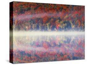 New York, Adirondack Mts, Sugar Maples and Fog at Heart Lake in Autumn-Christopher Talbot Frank-Stretched Canvas