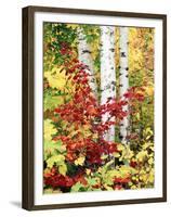 New York, Adirondack Mts, the Fall Colors of Trees-Christopher Talbot Frank-Framed Premium Photographic Print