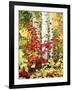 New York, Adirondack Mts, the Fall Colors of Trees-Christopher Talbot Frank-Framed Photographic Print