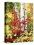 New York, Adirondack Mts, the Fall Colors of Trees-Christopher Talbot Frank-Stretched Canvas