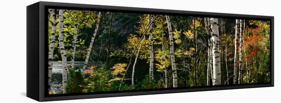 New York, Adirondacks, Autumn at Chapel Pond-null-Framed Stretched Canvas