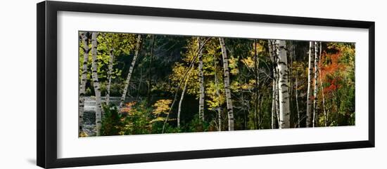 New York, Adirondacks, Autumn at Chapel Pond-null-Framed Photographic Print