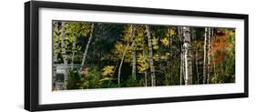 New York, Adirondacks, Autumn at Chapel Pond-null-Framed Photographic Print
