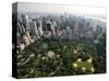 New York Aerial-Mark Lennihan-Stretched Canvas