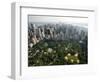 New York Aerial-Mark Lennihan-Framed Photographic Print