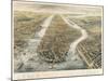 New York and its Environs, 1867-null-Mounted Premium Giclee Print