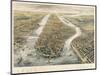 New York and its Environs, 1867-null-Mounted Giclee Print