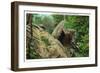 New York - Bear in the Catskill Mountains-Lantern Press-Framed Art Print