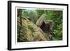 New York - Bear in the Catskill Mountains-Lantern Press-Framed Art Print