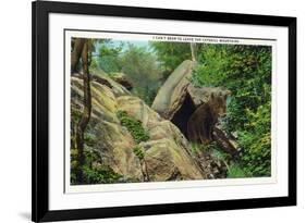 New York - Bear in the Catskill Mountains-Lantern Press-Framed Premium Giclee Print