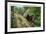 New York - Bear in the Catskill Mountains-Lantern Press-Framed Premium Giclee Print