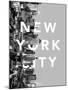New York Bold-Assaf Frank-Mounted Giclee Print