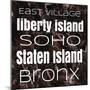 New York Boroughs I-Elizabeth Medley-Mounted Art Print