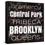 New York Boroughs II-Elizabeth Medley-Framed Stretched Canvas