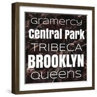 New York Boroughs II-Elizabeth Medley-Framed Art Print