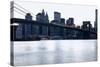 New York, Brooklyn Bridge and Lower Manhattan-Skaya-Stretched Canvas