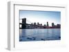 New York, Brooklyn Bridge and Lower Manhattan-Skaya-Framed Photographic Print