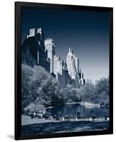 New York Central Park-null-Framed Art Print