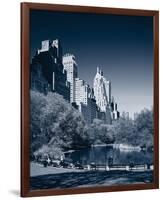 New York Central Park-null-Framed Art Print