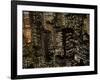 New York City at Night-Felipe Rodriguez-Framed Photographic Print