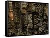 New York City at Night-Felipe Rodriguez-Framed Stretched Canvas