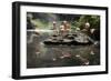 New York City, Bronx Zoo, Flamingoes (Phoenicopterus Ruber)-Samuel Magal-Framed Photographic Print