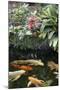 New York City, Bronx Zoo, Koi Fish Pond-Samuel Magal-Mounted Photographic Print
