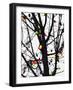 New York City, colorful Christmas lights-Michele Molinari-Framed Photographic Print