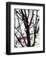 New York City, colorful Christmas lights-Michele Molinari-Framed Photographic Print