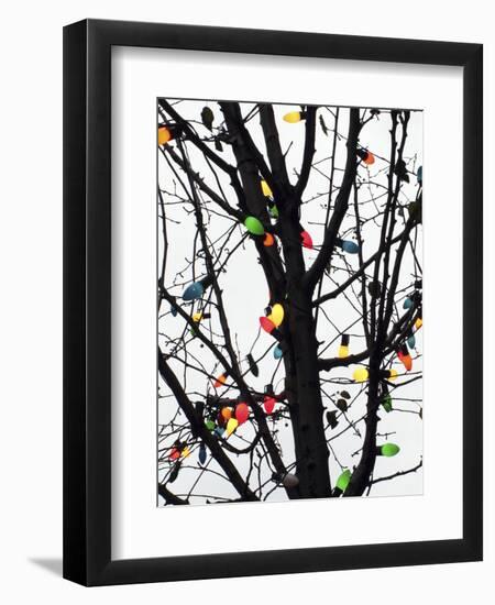 New York City, colorful Christmas lights-Michele Molinari-Framed Photographic Print