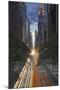 New York City, Empire State Building-Moises Levy-Mounted Photographic Print