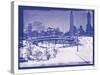 New York City In Winter V In Colour-British Pathe-Stretched Canvas