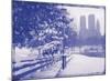 New York City In Winter VIII In Colour-British Pathe-Mounted Giclee Print