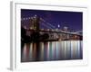 New York City, Manhattan, Brooklyn Bridge and Downtown Manhattan, USA-Gavin Hellier-Framed Photographic Print