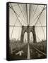 New York City, Manhattan, Brooklyn Bridge at Dawn, USA-Gavin Hellier-Framed Stretched Canvas