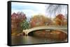 New York City Manhattan Central Park Panorama at Autumn with Skyscrapers, Foliage, Lake and Bow Bri-Songquan Deng-Framed Stretched Canvas