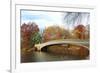 New York City Manhattan Central Park Panorama at Autumn with Skyscrapers, Foliage, Lake and Bow Bri-Songquan Deng-Framed Photographic Print