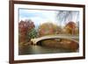 New York City Manhattan Central Park Panorama at Autumn with Skyscrapers, Foliage, Lake and Bow Bri-Songquan Deng-Framed Photographic Print