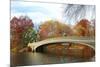 New York City Manhattan Central Park Panorama at Autumn with Skyscrapers, Foliage, Lake and Bow Bri-Songquan Deng-Mounted Photographic Print