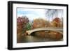 New York City Manhattan Central Park Panorama at Autumn with Skyscrapers, Foliage, Lake and Bow Bri-Songquan Deng-Framed Photographic Print