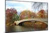 New York City Manhattan Central Park Panorama at Autumn with Skyscrapers, Foliage, Lake and Bow Bri-Songquan Deng-Mounted Photographic Print