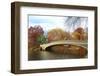 New York City Manhattan Central Park Panorama at Autumn with Skyscrapers, Foliage, Lake and Bow Bri-Songquan Deng-Framed Photographic Print