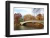 New York City Manhattan Central Park Panorama at Autumn with Skyscrapers, Foliage, Lake and Bow Bri-Songquan Deng-Framed Photographic Print