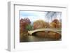 New York City Manhattan Central Park Panorama at Autumn with Skyscrapers, Foliage, Lake and Bow Bri-Songquan Deng-Framed Photographic Print