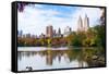 New York City Manhattan Central Park Panorama in Autumn Lake with Skyscrapers and Colorful Trees Wi-Songquan Deng-Framed Stretched Canvas