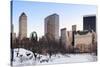 New York City Manhattan Central Park Panorama in Winter with Snow, Freezing Lake and Skyscrapers At-Songquan Deng-Stretched Canvas