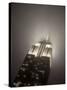 New York City, Manhattan, Empire State Building on a Rainy Evening- Low Angle View, USA-Gavin Hellier-Stretched Canvas