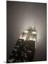 New York City, Manhattan, Empire State Building on a Rainy Evening- Low Angle View, USA-Gavin Hellier-Mounted Photographic Print